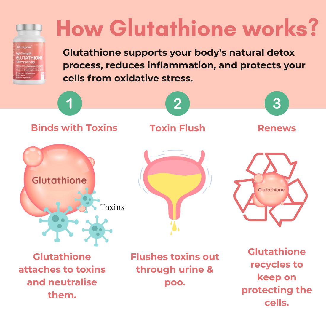 Diagram showing reduced glutathione molecules neutralizing free radicals in skin cells, illustrating antioxidant protection and skin brightening effects.